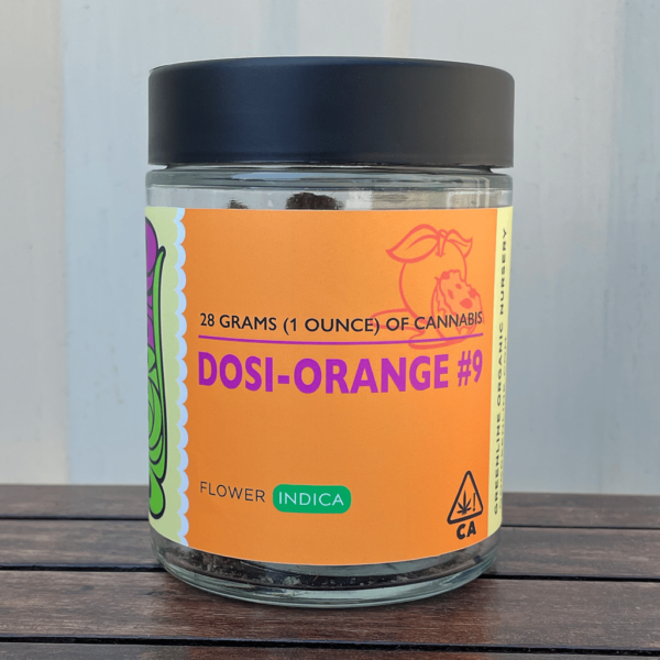 Dosi-Orange Ounce - Blog pic