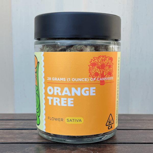 Orange Tree Ounce - Blog pic