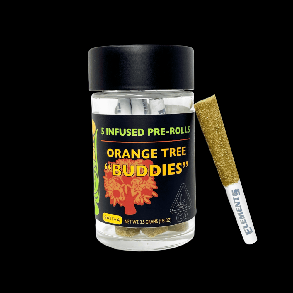 Orange tree buddies black